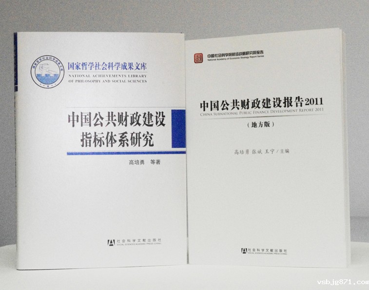 高培勇、张斌、王宁：中国公共财...